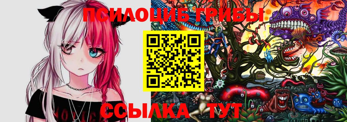 Галлюциногенные грибы Psilocybine cubensis Санкт-Петербург