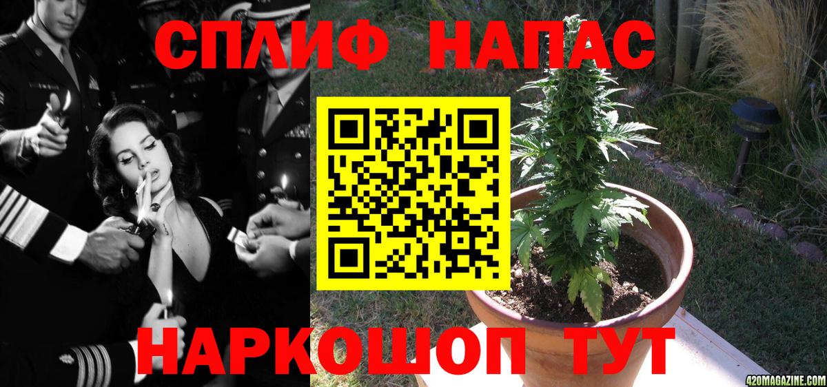 Санкт-Петербург  Канабис план  Канабис THC 21%  Вход с VPN  Канабис марихуана 